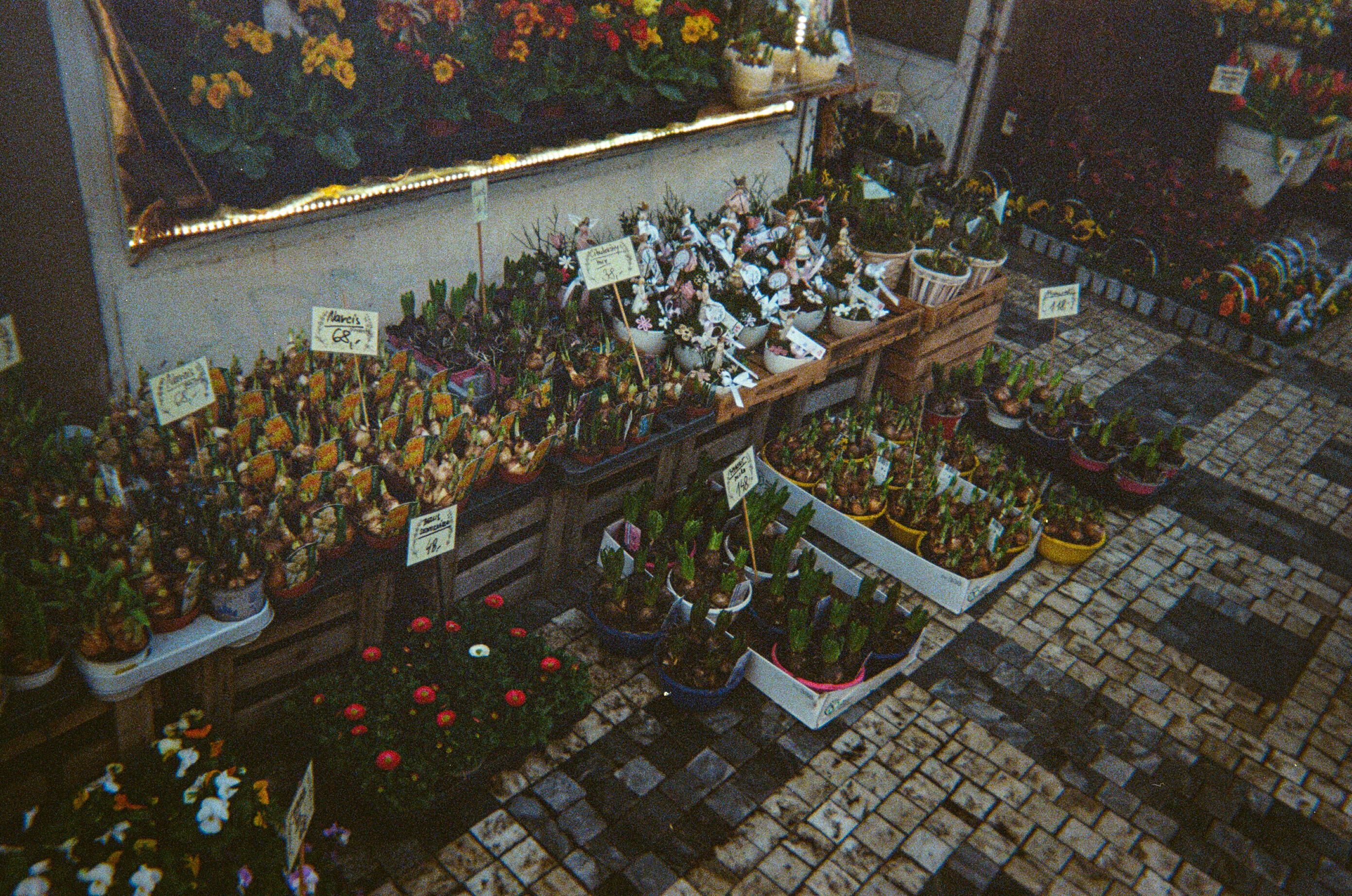 Outside the florist