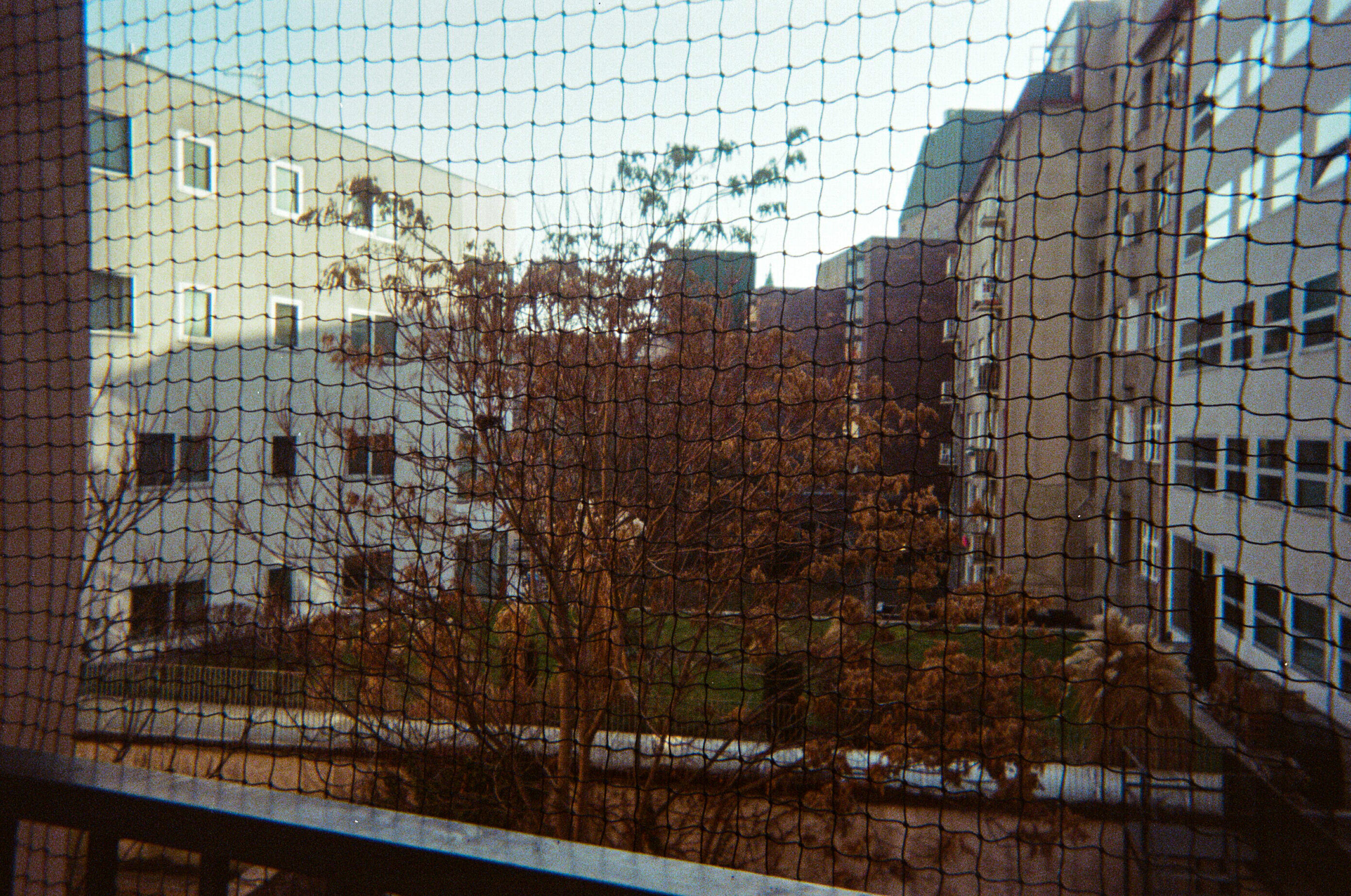 The Courtyard